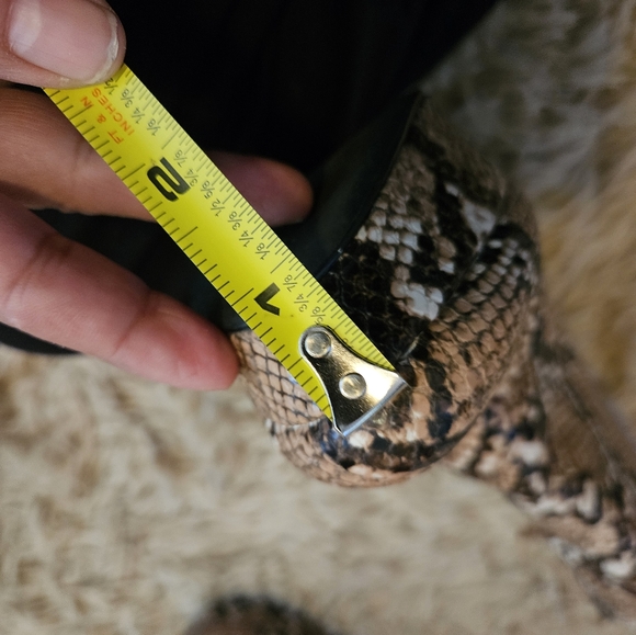 Steve Madden snake skin booties - Picture 5 of 6